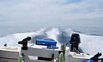 Tuna Fishing